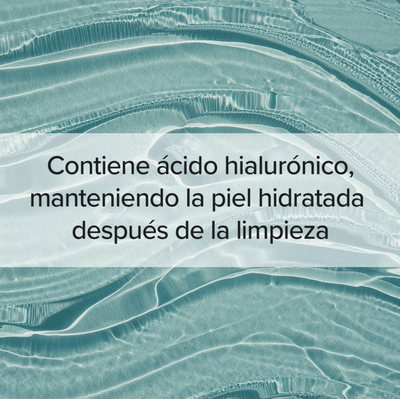 HOUTTUYNIA CORDATA + TEA TREE CLEANSING FOAM